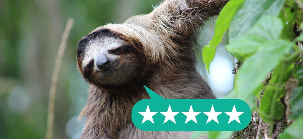 No Mozie Reviews and Gratuitous Sloth